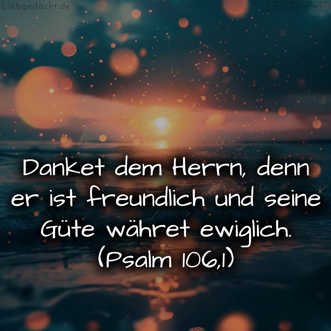 1716376476664dd39c6c18b