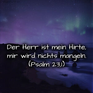 1716376478664dd39e3a703