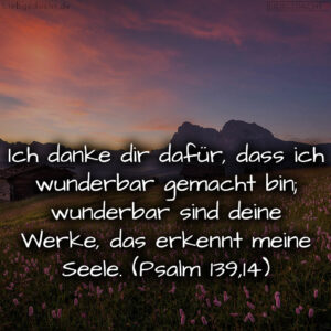 1716376480664dd3a08bde7