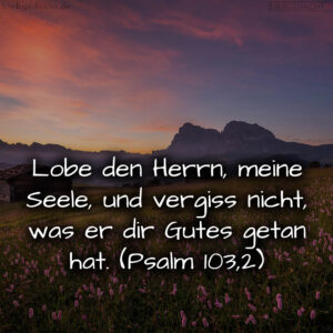 1716376482664dd3a29b35f