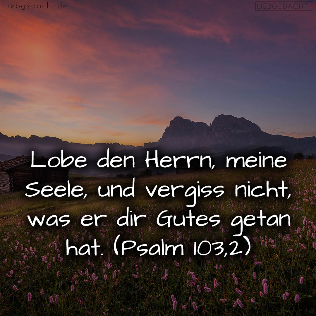 1716376482664dd3a29b35f