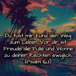 1716376487664dd3a76cdb8