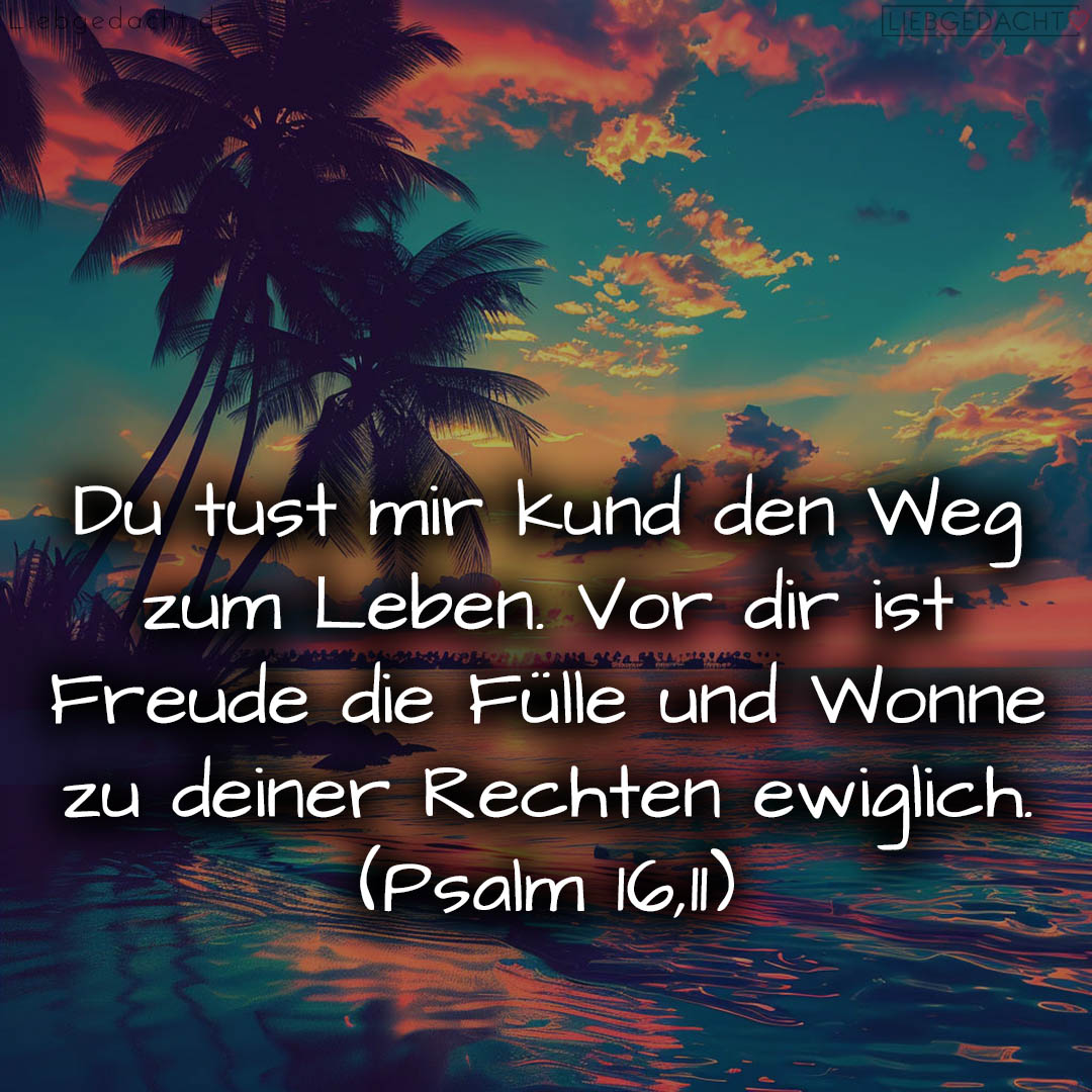 1716376487664dd3a76cdb8