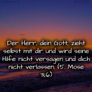 1716376495664dd3afe32d0