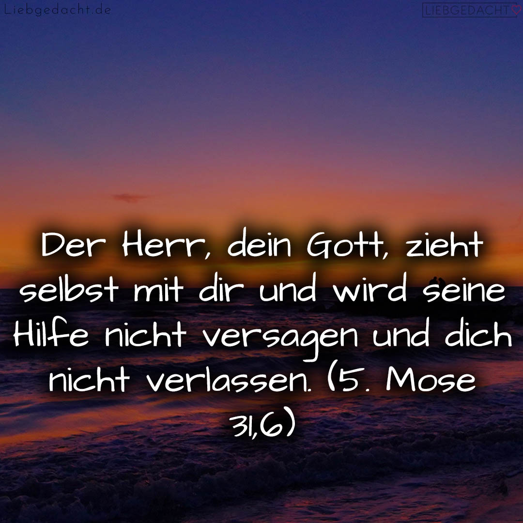 1716376495664dd3afe32d0