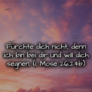 1716376498664dd3b202c59