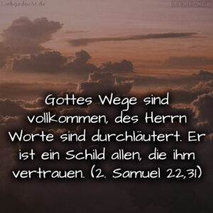 1716376500664dd3b49dffc