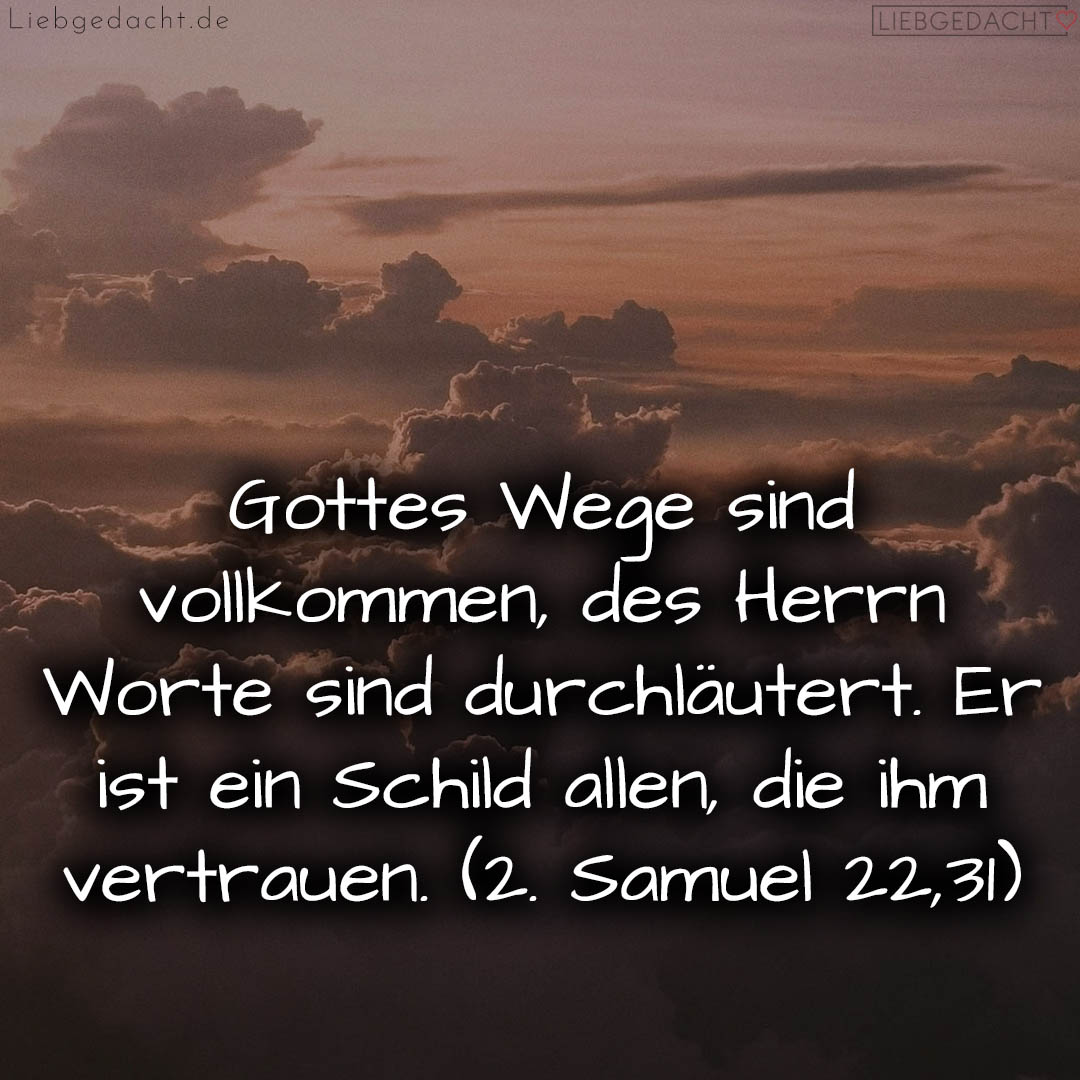 1716376500664dd3b49dffc