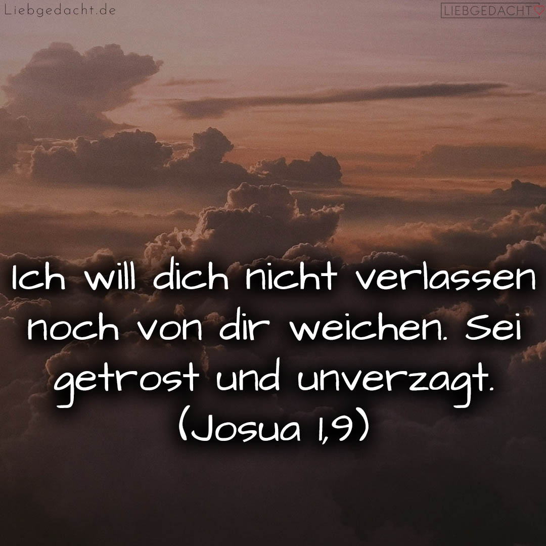 1716376501664dd3b5c0780