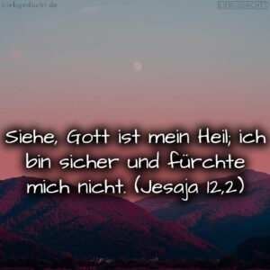 1716376503664dd3b7397b2