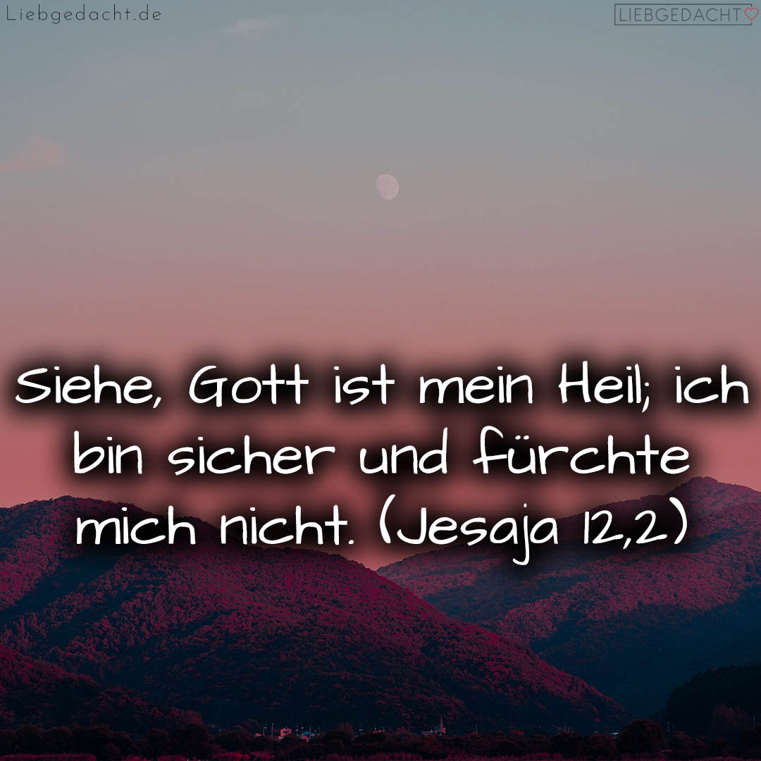 1716376503664dd3b7397b2