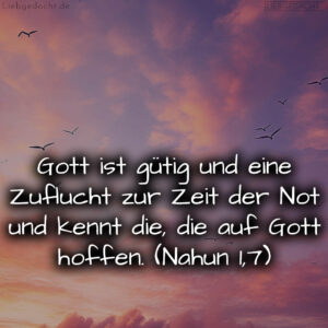 1716376511664dd3bf1b860