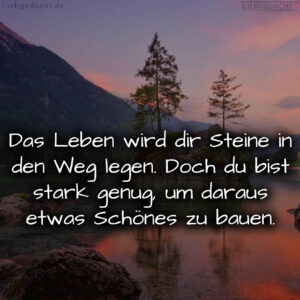 1716376519664dd3c77e9a7