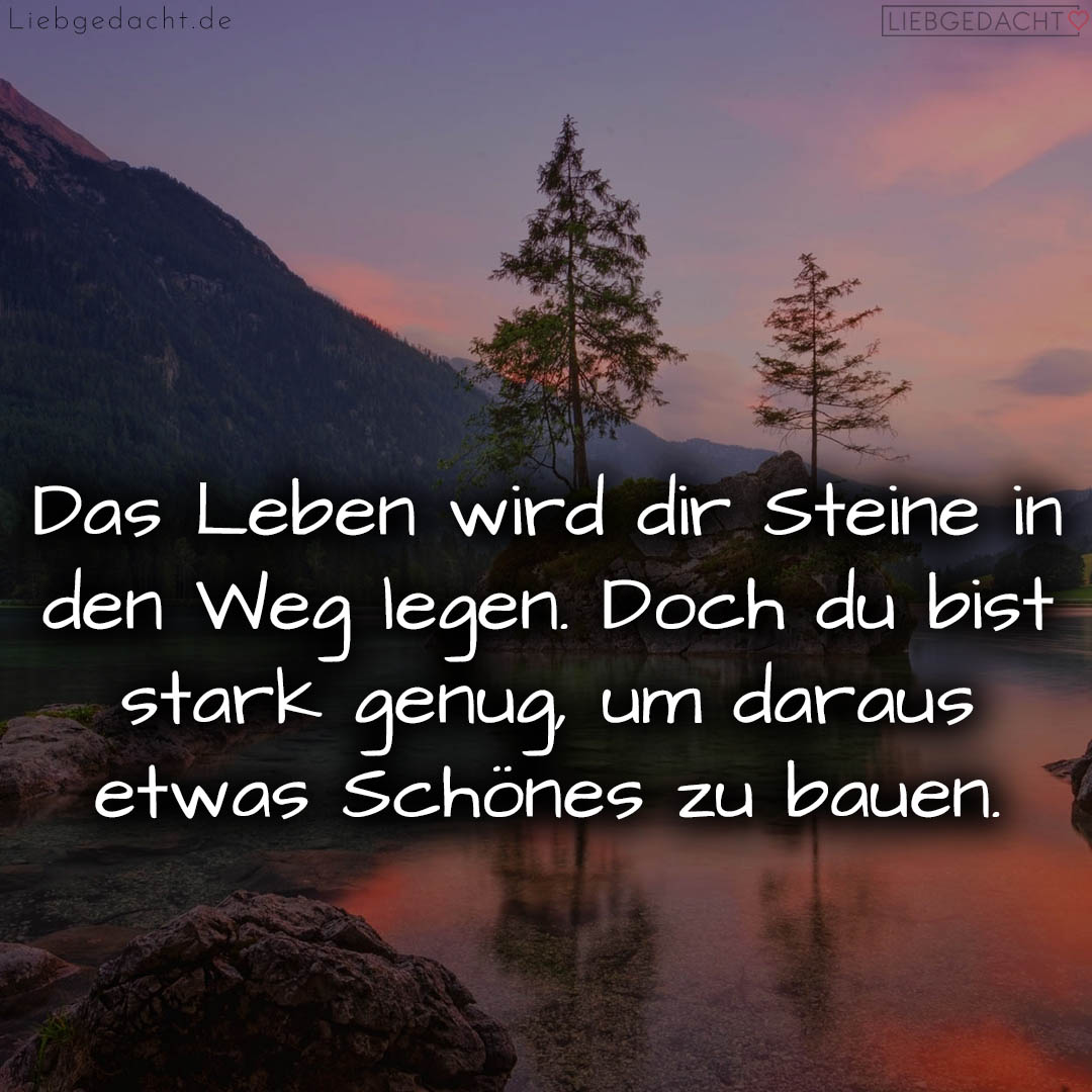 1716376519664dd3c77e9a7