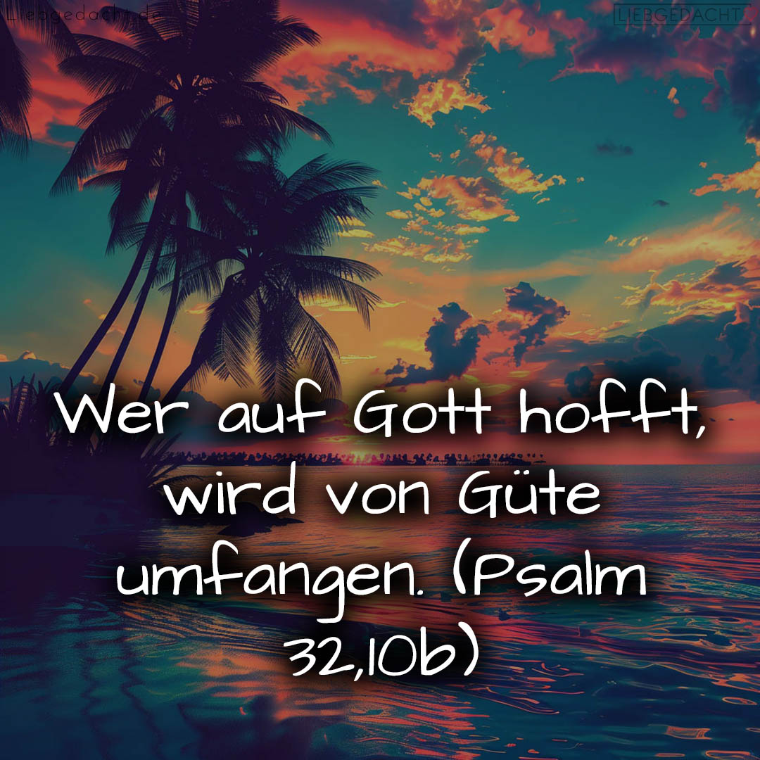 1716376529664dd3d1bd47c