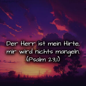 1716376534664dd3d622262