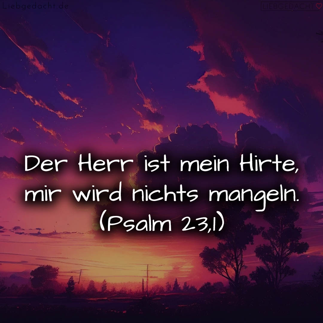 1716376534664dd3d622262