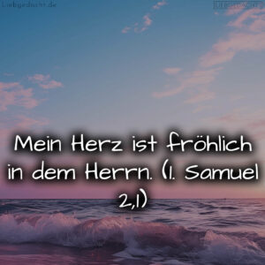 1716376536664dd3d836f76