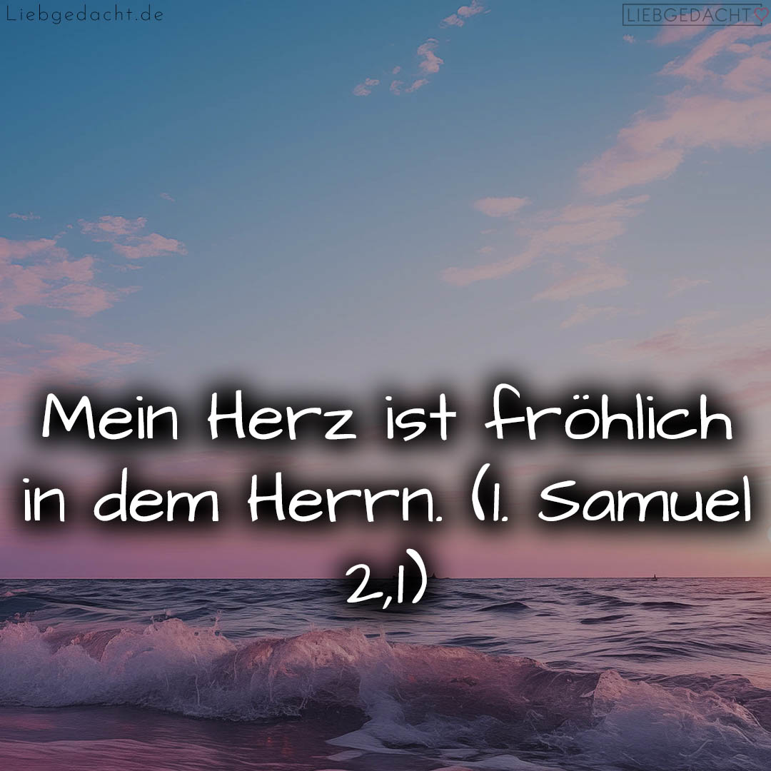 1716376536664dd3d836f76