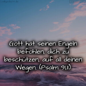 1716376545664dd3e152f6f