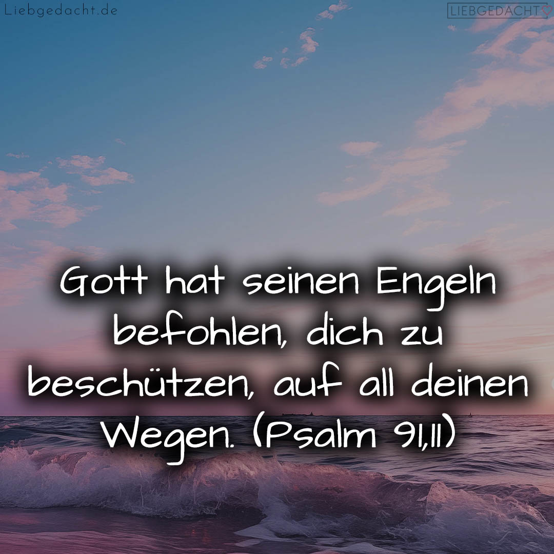 1716376545664dd3e152f6f