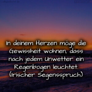 1716376557664dd3ed03b90