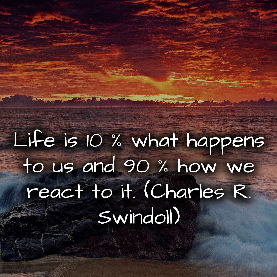 1716376579664dd403ee4d4