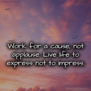 1716376582664dd40604805