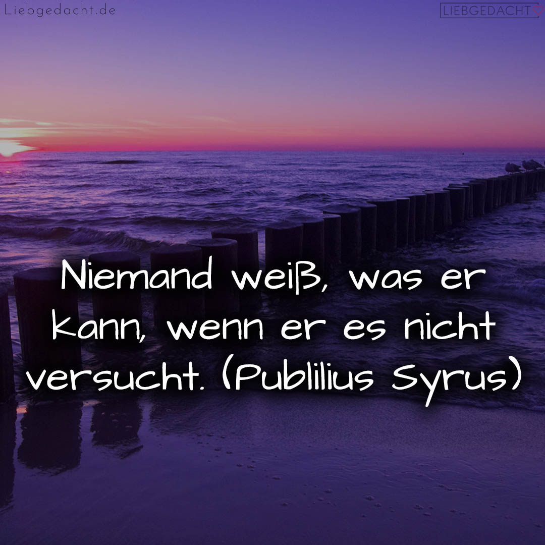 1716376585664dd40945ddf