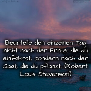 1716376590664dd40e7bf3c