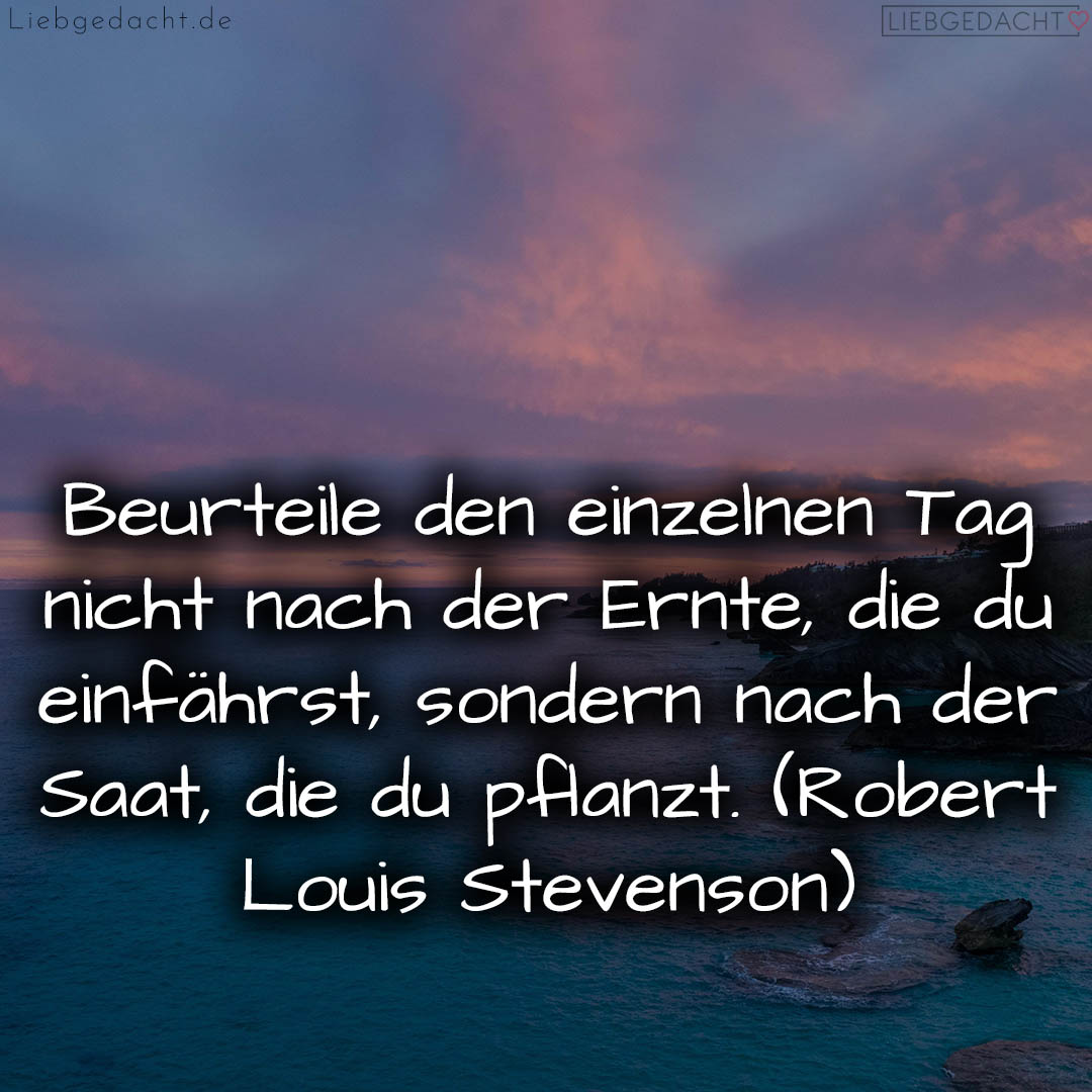 1716376590664dd40e7bf3c