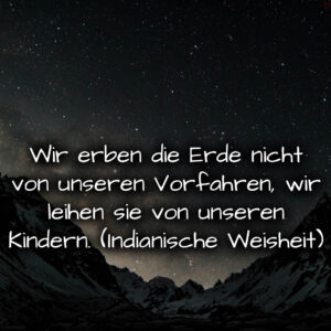 1716376593664dd41128457