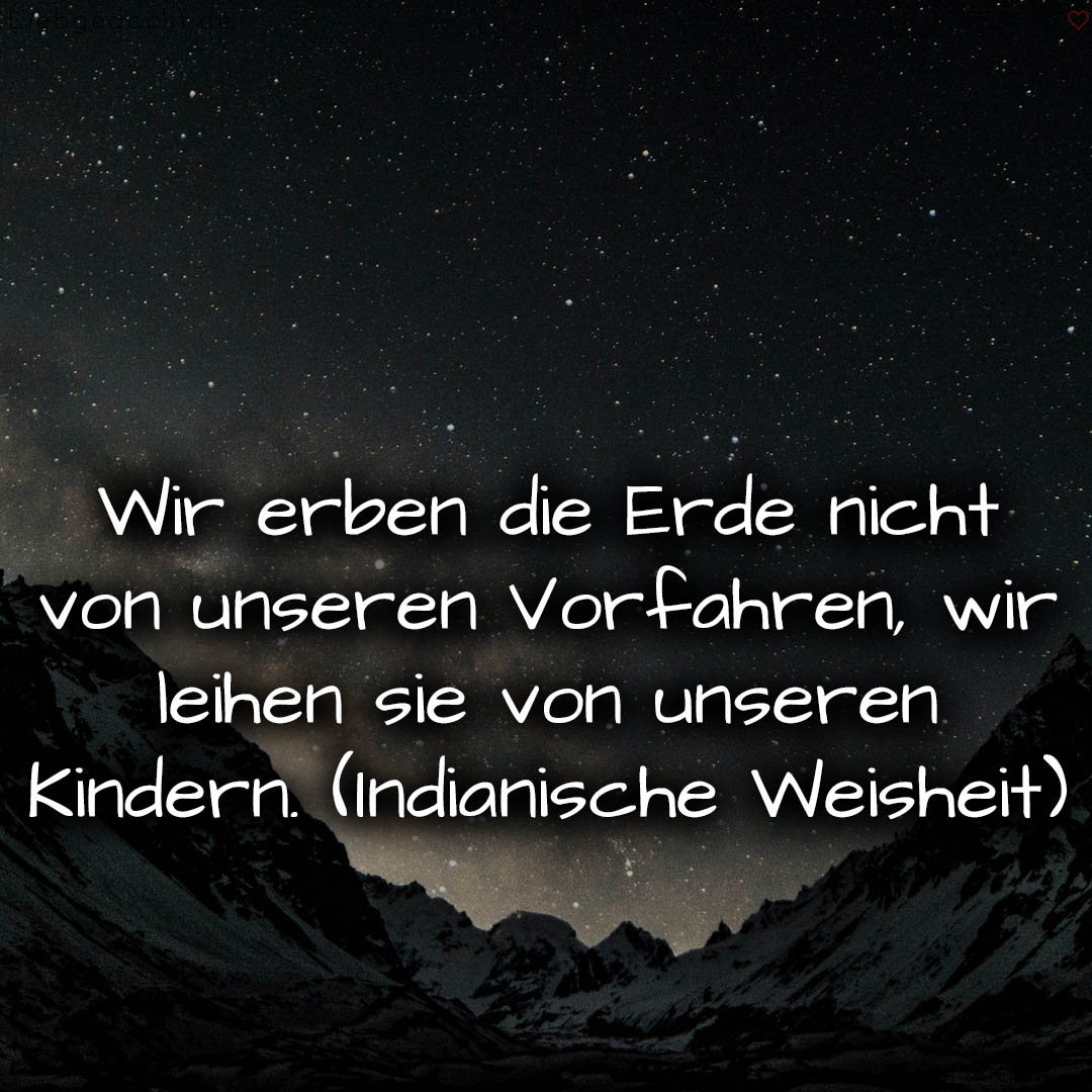 1716376593664dd41128457