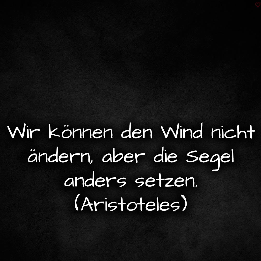 1716376604664dd41c1d302