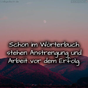 1716376624664dd43077620