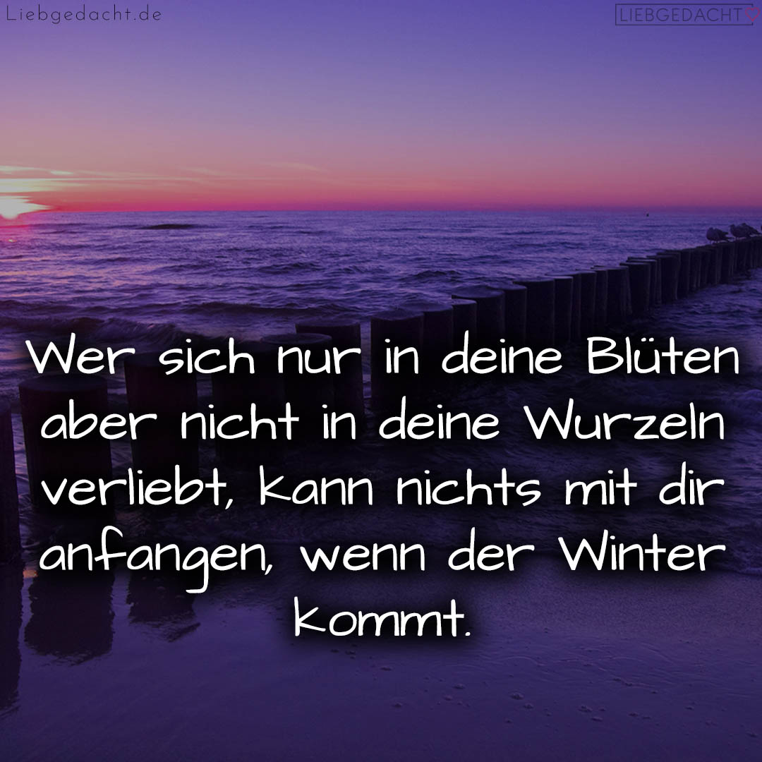 1716376657664dd451df58d