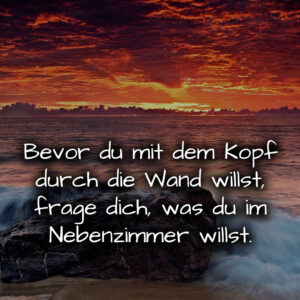 1716376691664dd473221ff