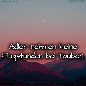 1716376697664dd479d4b1b