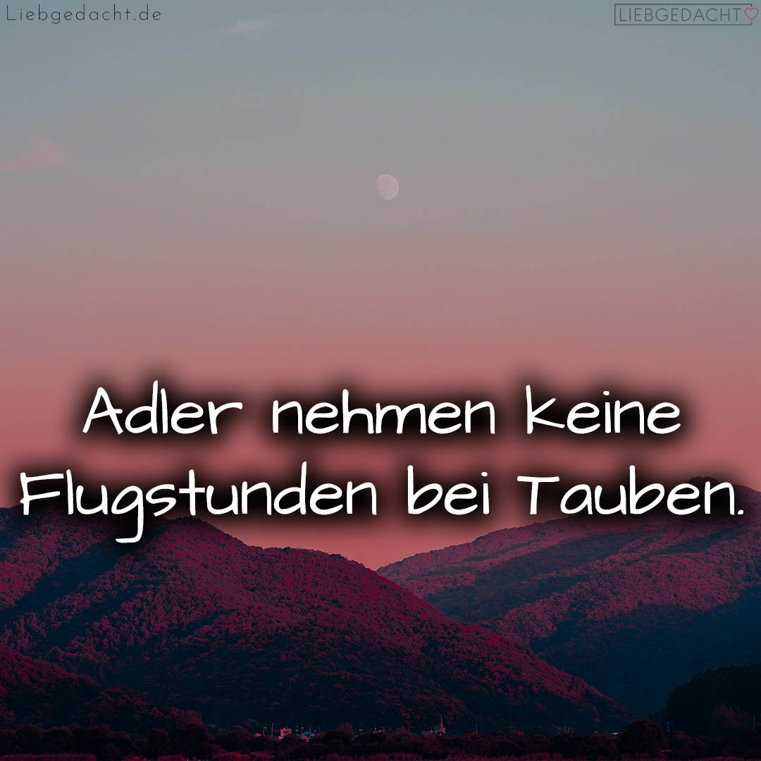 1716376697664dd479d4b1b