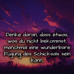 1716376722664dd4923c6c8