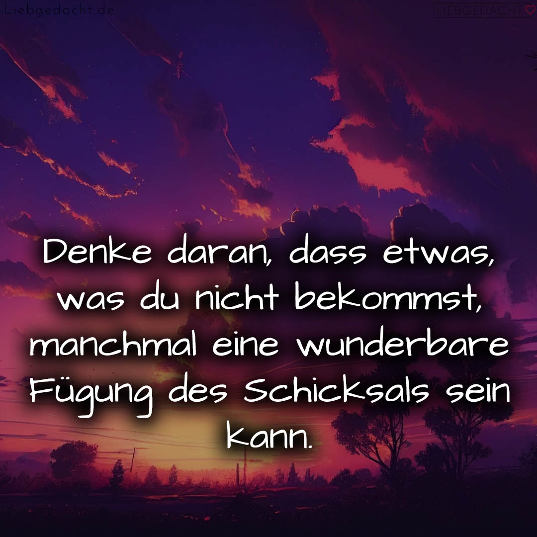 1716376722664dd4923c6c8