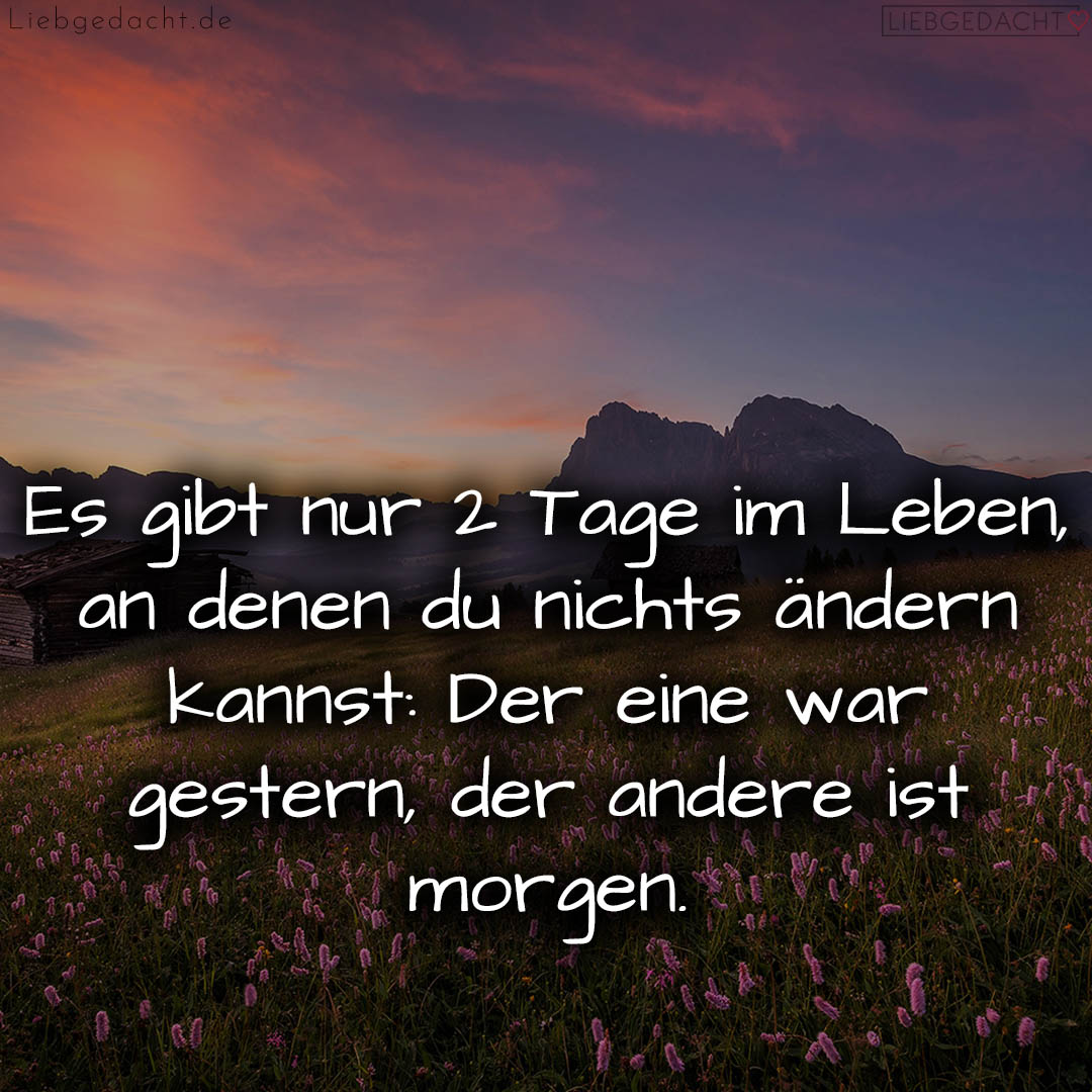 1716376725664dd495035b4