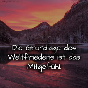 1716376733664dd49d13ab1