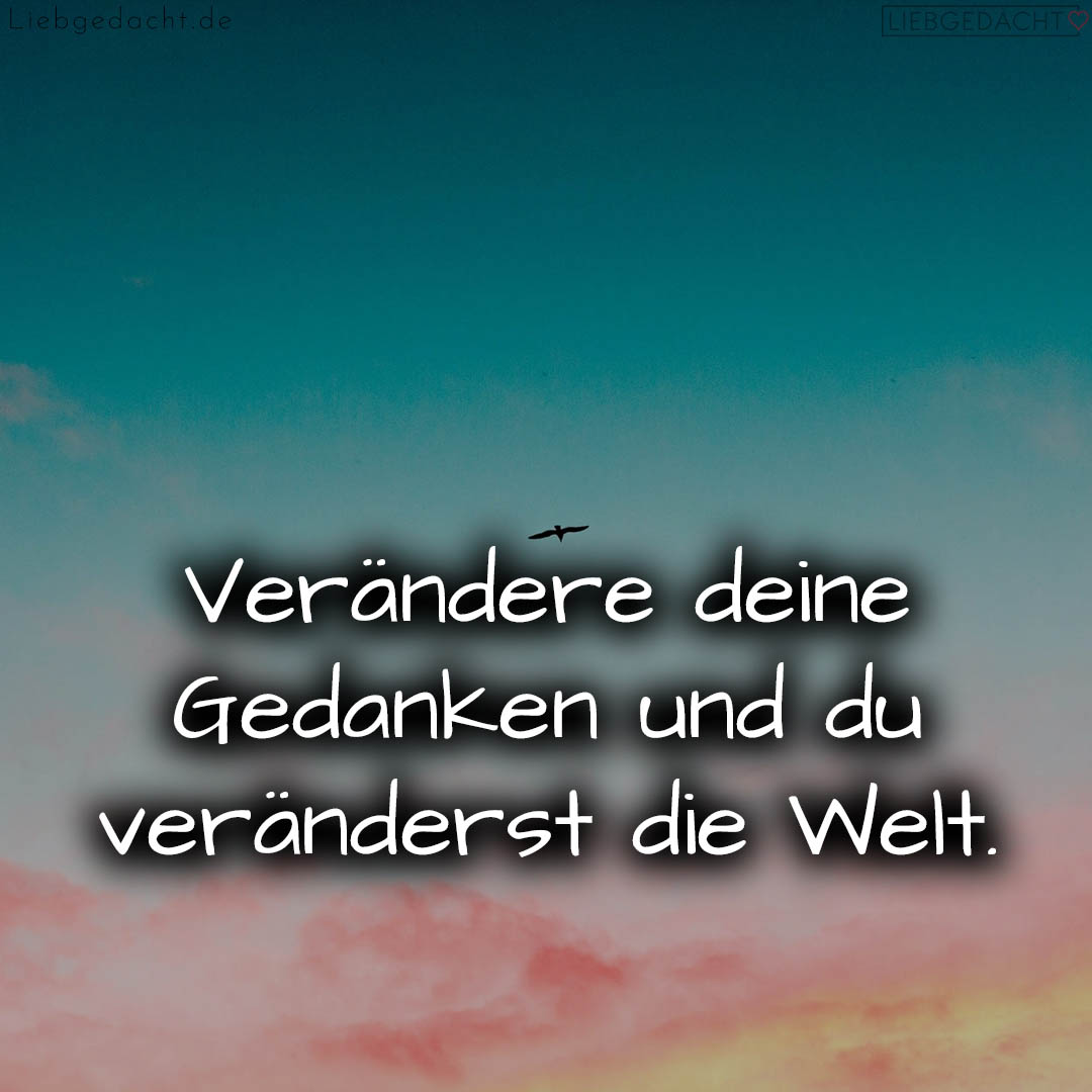 1716376739664dd4a339a20