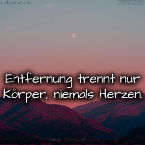 1716376742664dd4a619ed8