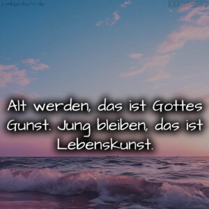 1716376776664dd4c88cc30