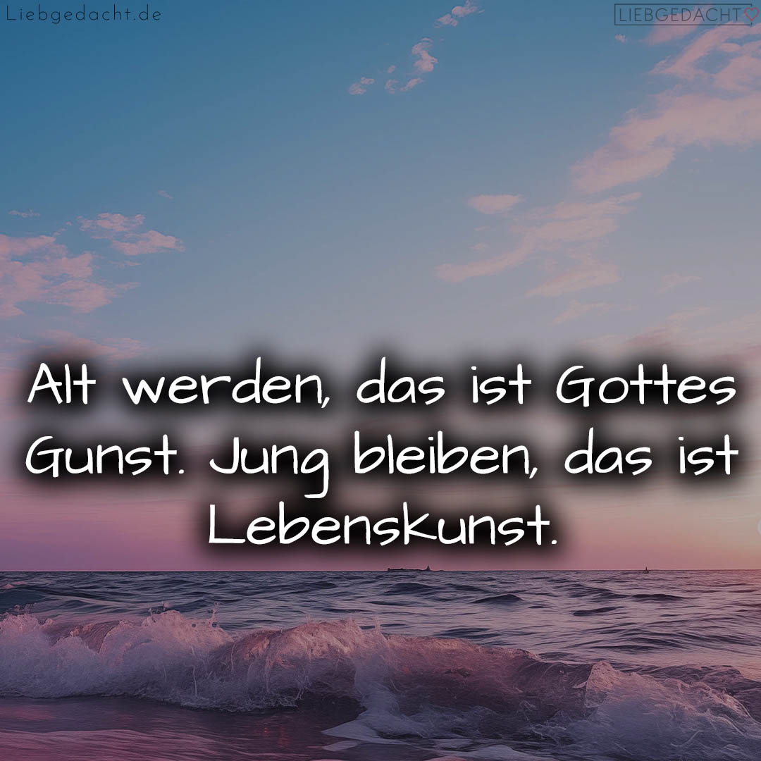 1716376776664dd4c88cc30