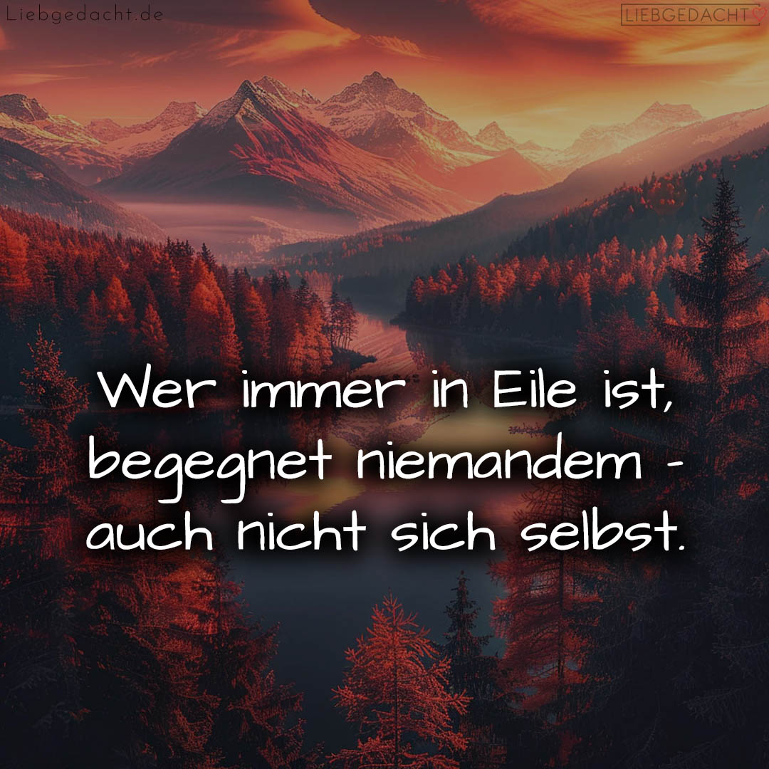 1716376820664dd4f4a2c06