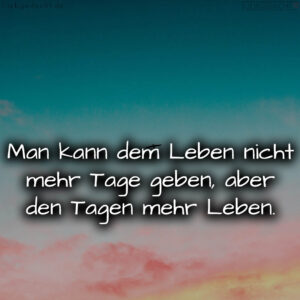 1716376845664dd50d0c7c7