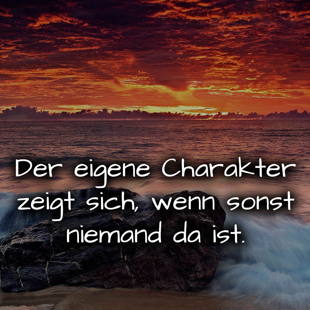 1716376857664dd5194d8cb